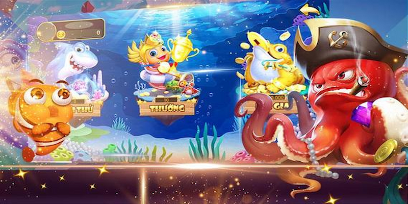 Tham gia các event 