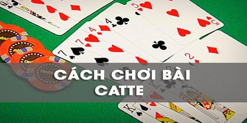 Giới thiệu cách chơi bài cát tê dễ dàng, hiệu quả nhất