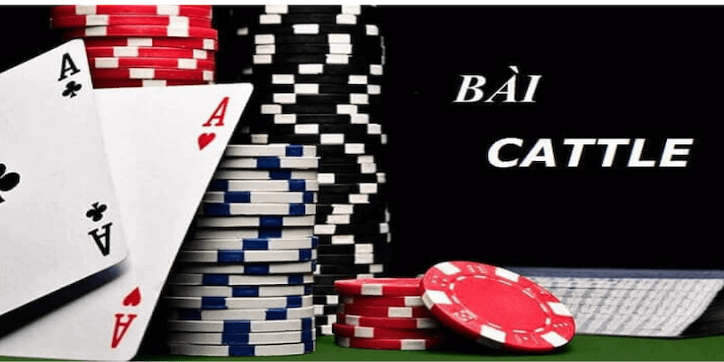 Hướng dẫn chi tiết cách chơi bài cát tê tại 9club